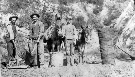  Image name: 05 Carbonai.gif 
 width: 545 pixel 
 height: 312 pixel 
 Size: 204531 bytes 
 Click to enlarge 